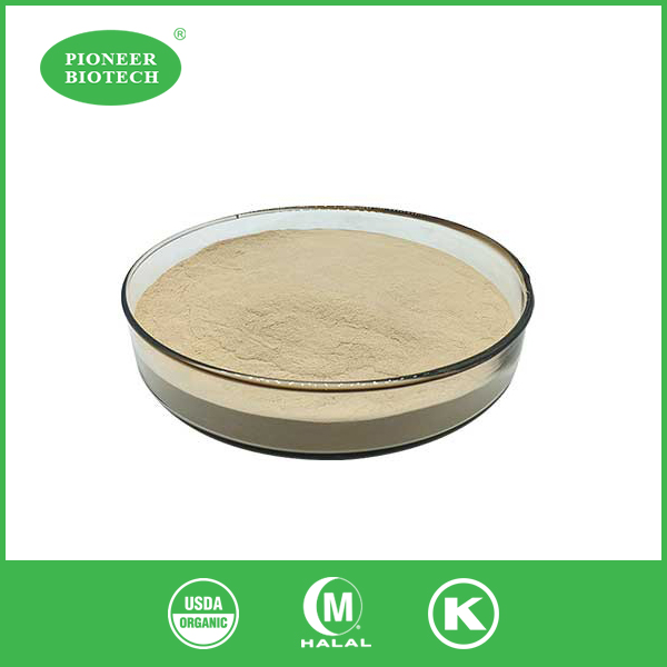 hydrolyzed rice protein powder